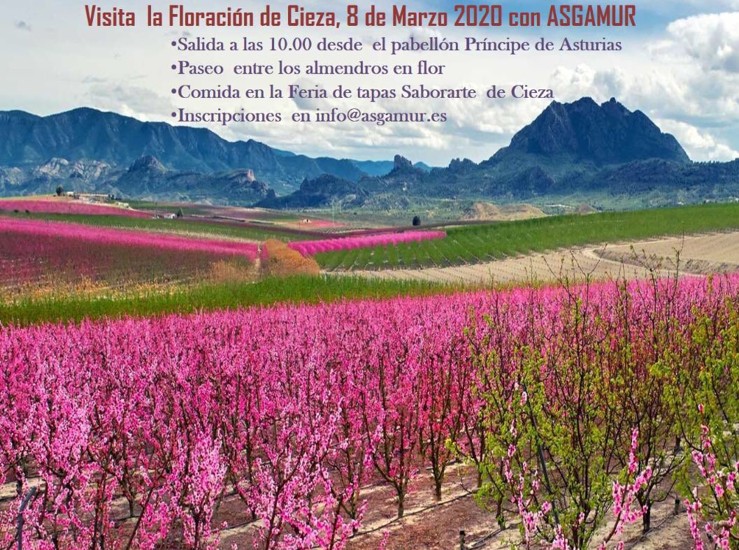 Floración de Cieza 2020